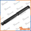 Amortisseur de suspension arrière pour FORD | A-FR-050, 349082